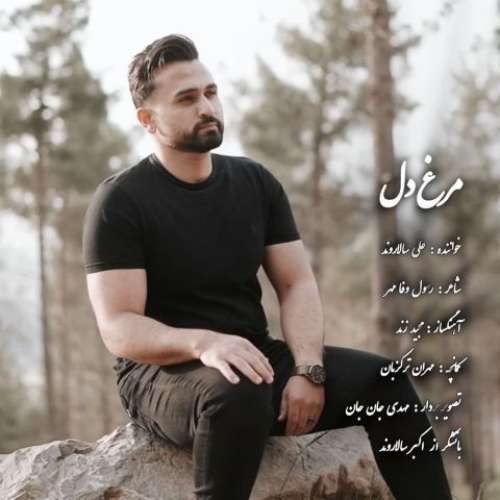 علی سالاروند مرغ دل